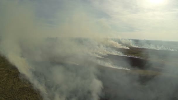 Flight through  fire smoke in  steppe. Aerial shot — Stock Video