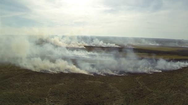 Brandende gras in steppe met rook. Luchtfoto. — Stockvideo