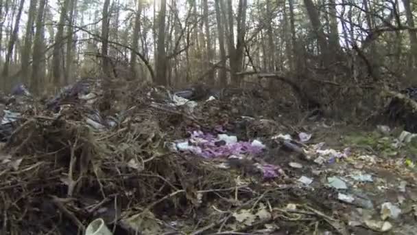 Human influence on  nature. Garbage in wood — Stock Video