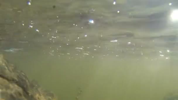 Water surface. Underwater shooting — Stock Video