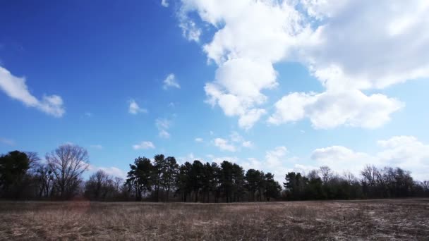 Nuvens bonitas no céu. Desfasamento temporal — Vídeo de Stock