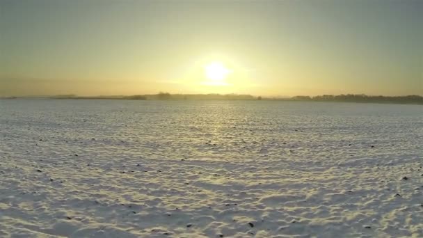 Зимовий схід сонця і снігове поле Повітряний постріл — стокове відео