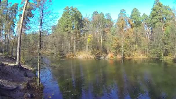 Hinauf über den Herbstfluss. Luftaufnahme — Stockvideo