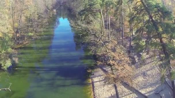 Costa arenosa do lago em madeira de outono. Vista superior aérea — Vídeo de Stock