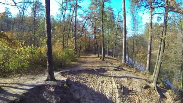 Sandy kust van lake in herfst hout. Luchtfoto — Stockvideo