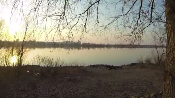 Flug über Flussufer bei Sonnenuntergang. Luftaufnahme — Stockvideo