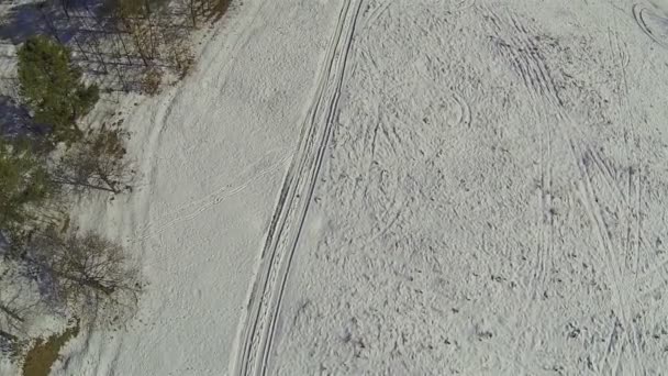 Över trä och road i snö. Översta Flygfoto — Stockvideo