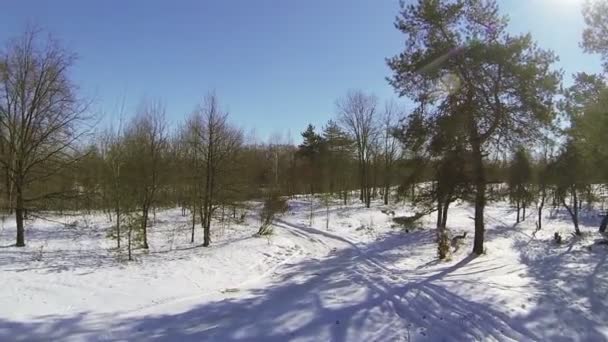 Soleado día de invierno al aire libre. Campo y madera. Antena — Vídeos de Stock