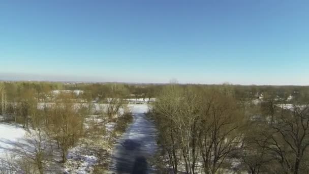 Frozen river and stream. Aerial — Stock Video