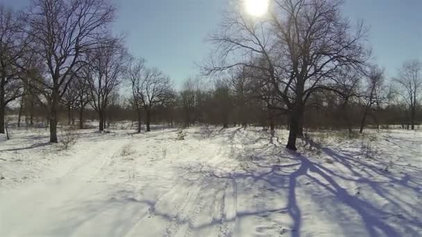 Tylne przelatują nad śnieg, drzewami i cieniami. Zimowe anteny — Wideo stockowe