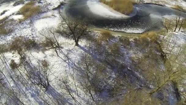 Frozen small river and trees . Aerial top view , rear fly — Stock Video