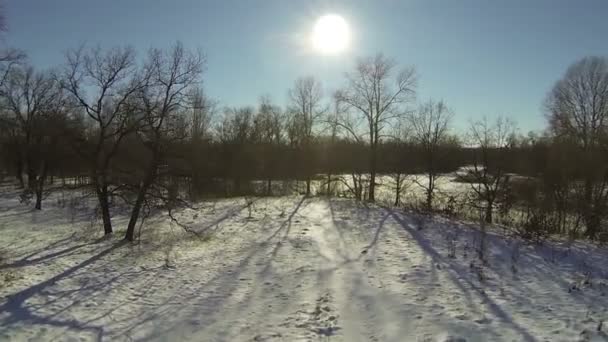 Замерзла невелика річка і дерева. Повітряні — стокове відео