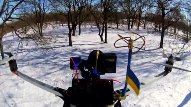 Drone con bandera de Ucrania ondea sobre el árbol. Invierno aéreo — Vídeos de Stock