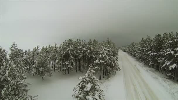 Vinter skog med Tom väg i det dystra vädret. Antenn — Stockvideo