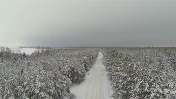 Winter forest met lege weg in sombere weer. Luchtfoto — Stockvideo