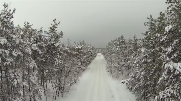 Route enneigée et bois. Plan d'hiver aérien 