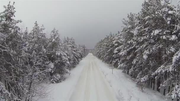 Carretera cubierta de nieve y madera. tiro aéreo de invierno — Vídeo de stock