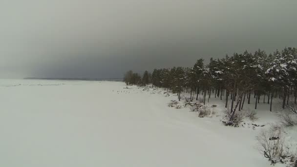 Küste des zugefrorenen Sees mit Schnee bedeckt. Antenne — Stockvideo