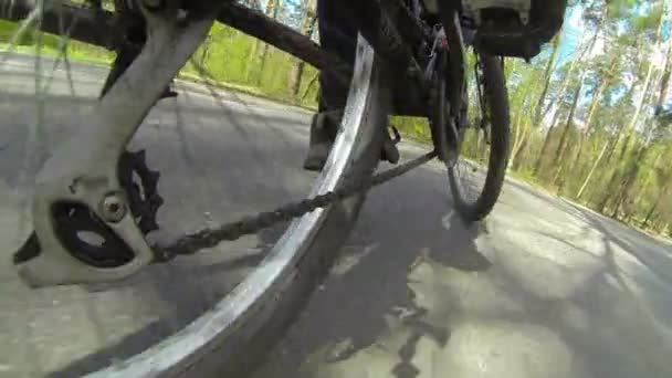 Bisikletçi tahrik ediyor. Bahar günü klipte POV — Stok video