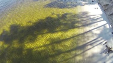 Snags ve parlak su ile göl kıyısında. Hava Üstten Görünüm