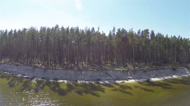 Pohled na dřevo od moře. Boční letu. Antény — Stock video