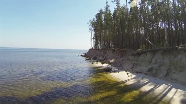 Nahoru nad mořem a dřevo. Letecký snímek v slunečný den — Stock video