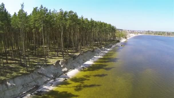 Flight over  sea woody coast. Aerial shot — Stock Video