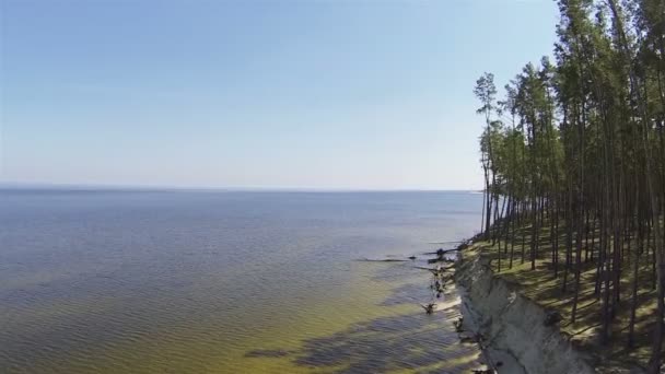 Піщане узбережжя озера з дерева. Повітряний постріл — стокове відео