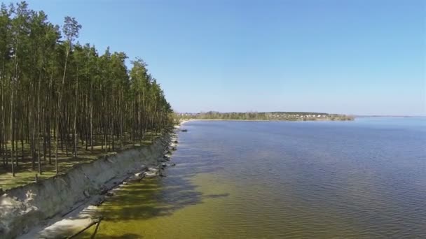 Homokos part tó a fák. Légi felvétel a napsütésben — Stock videók