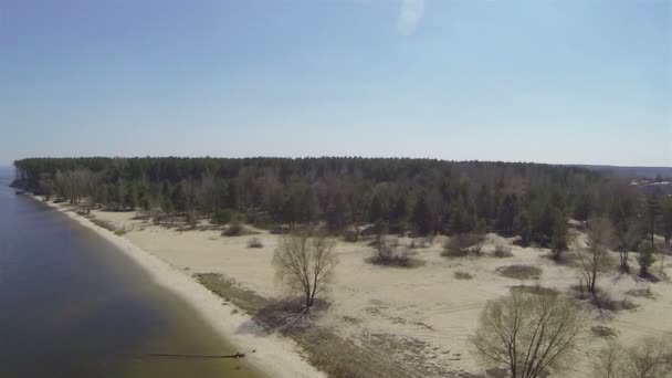 Über der Küste des ruhigen Meeres. Luftaufnahme an sonnigem Tag — Stockvideo