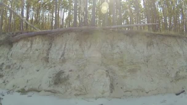 Sandy steep coast. Aerial  lateral flight — Stock Video