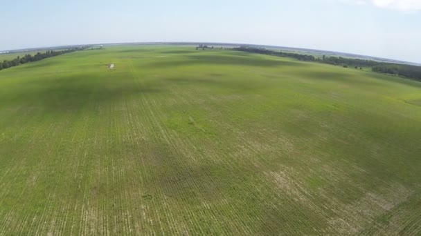 Panorama van een groen veld. — Stockvideo