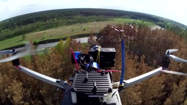 Flying drone with camera filming nature. POV clip — Stock Video