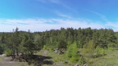 POV küçük göl ve ahşap üzerinde sinek ile. Hava