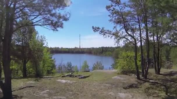 木材から湖へのフライト。空中ハメ撮りクリップ — ストック動画