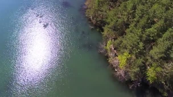 Eau du lac canyon avec réflexion et arbres. Panorama aérien POV 
