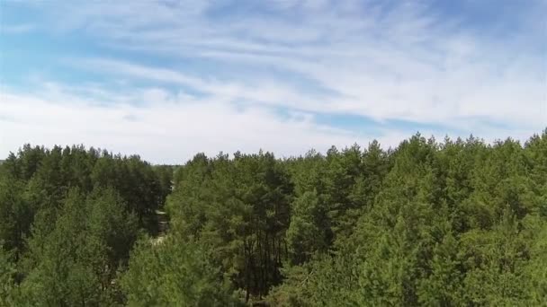 POV clip com mosca sobre as árvores. Paisagem aérea — Vídeo de Stock