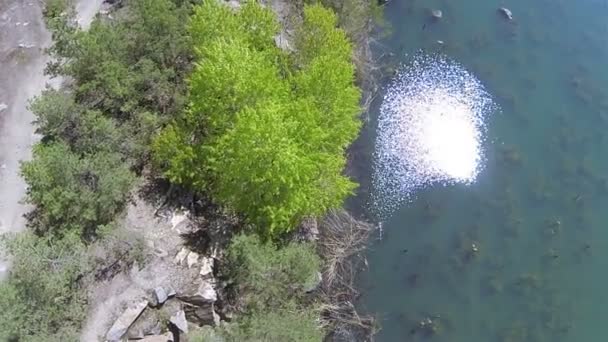 Costa rochosa do lago com árvore verde e reflexão do sol. Aviação — Vídeo de Stock