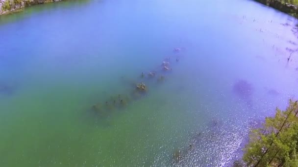 Acqua azzurra di lago con bosco. Panorama aereo lento — Video Stock