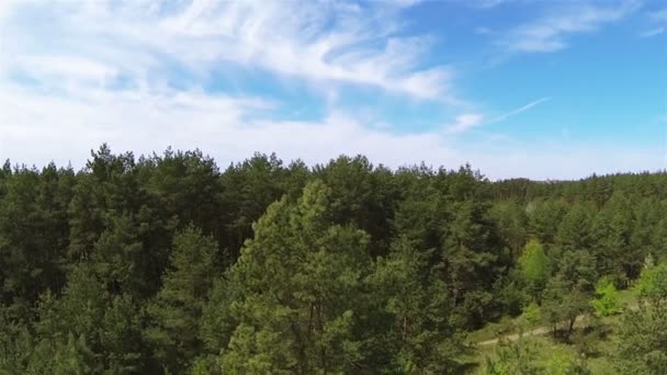 Rear slow flight over trees. Aerial — Stock Video