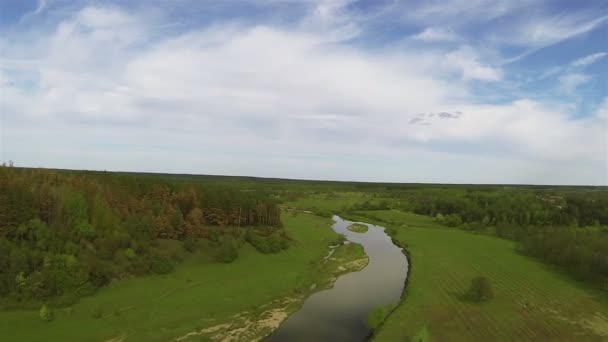 Volo su un bellissimo campo con alberi e fiume. Aerea — Video Stock