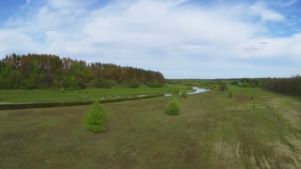 Πτήση πάνω από την όμορφη πεδίο με δέντρα και ποταμό. Εναέρια — Αρχείο Βίντεο