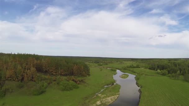 Volo su un bellissimo campo con alberi e fiume a turno. Aerea — Video Stock