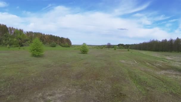 Frühlingsflug über Feld, Bäume und Fluss. Antenne — Stockvideo