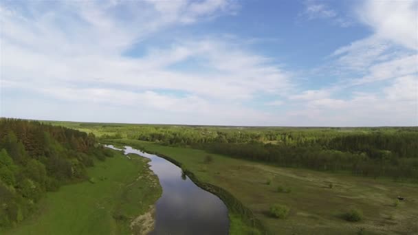 Paesaggio con cielo, fiume e campo con alberi. Aerea — Video Stock