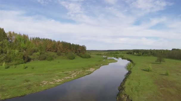 Petite rivière dans un champ vert. Aérien — Video