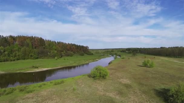 Small river in  green field. Aerial  lateral fligth — Stock Video
