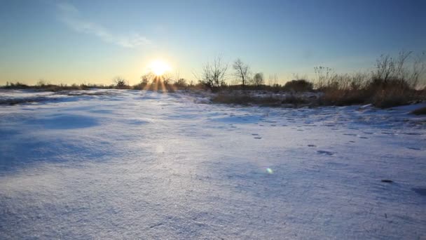 Paisaje invernal con sol y nieve al atardecer. Dolly disparó — Vídeos de Stock