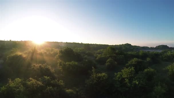 Misterioso paisaje de salida del sol con madera y rayos de sol. — Vídeos de Stock