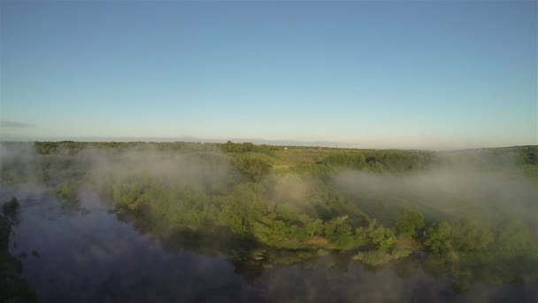 Φανταστικό μυστηριώδες τοπίο με ξύλο και ομίχλη στην Ανατολή του ηλίου. Εναέρια — Αρχείο Βίντεο